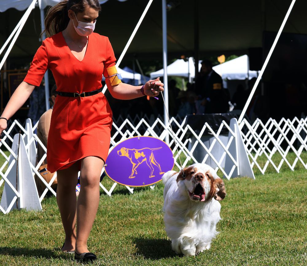 Question of the Week